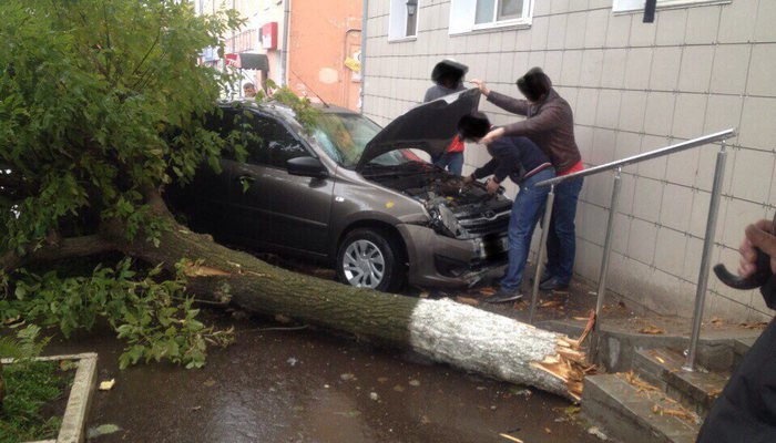 На улице Ленина на автомобиль упало дерево