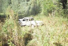 Пьяный водитель «Волги» разбил машину о дерево