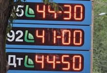 “Такими темпами бензин к 2019 году будет стоить 50 рублей за литр”