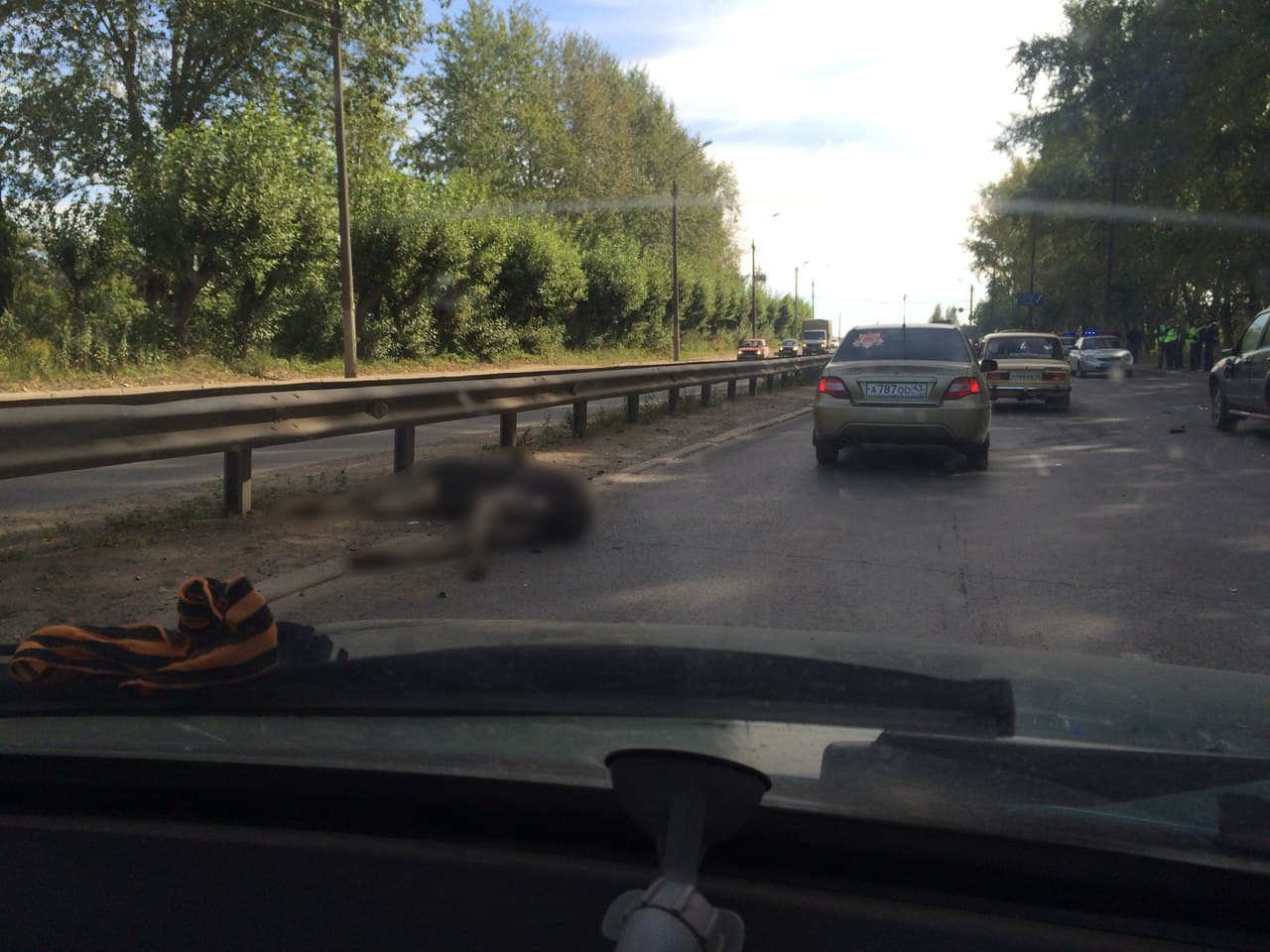 В Кирове на Производственной мужчина на Niva сбил лося