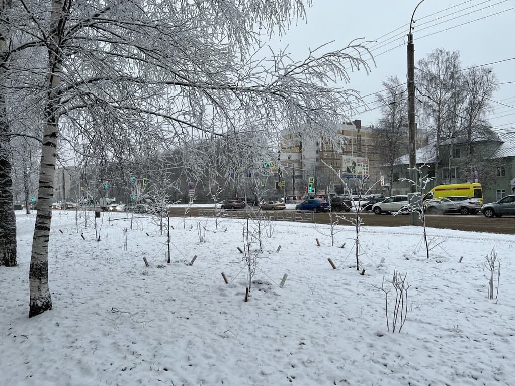 В Кирове на неделю перекроют проезд на улице Ломоносова