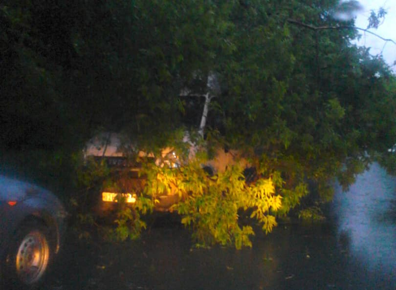 На Горбуновой дерево упало на машину