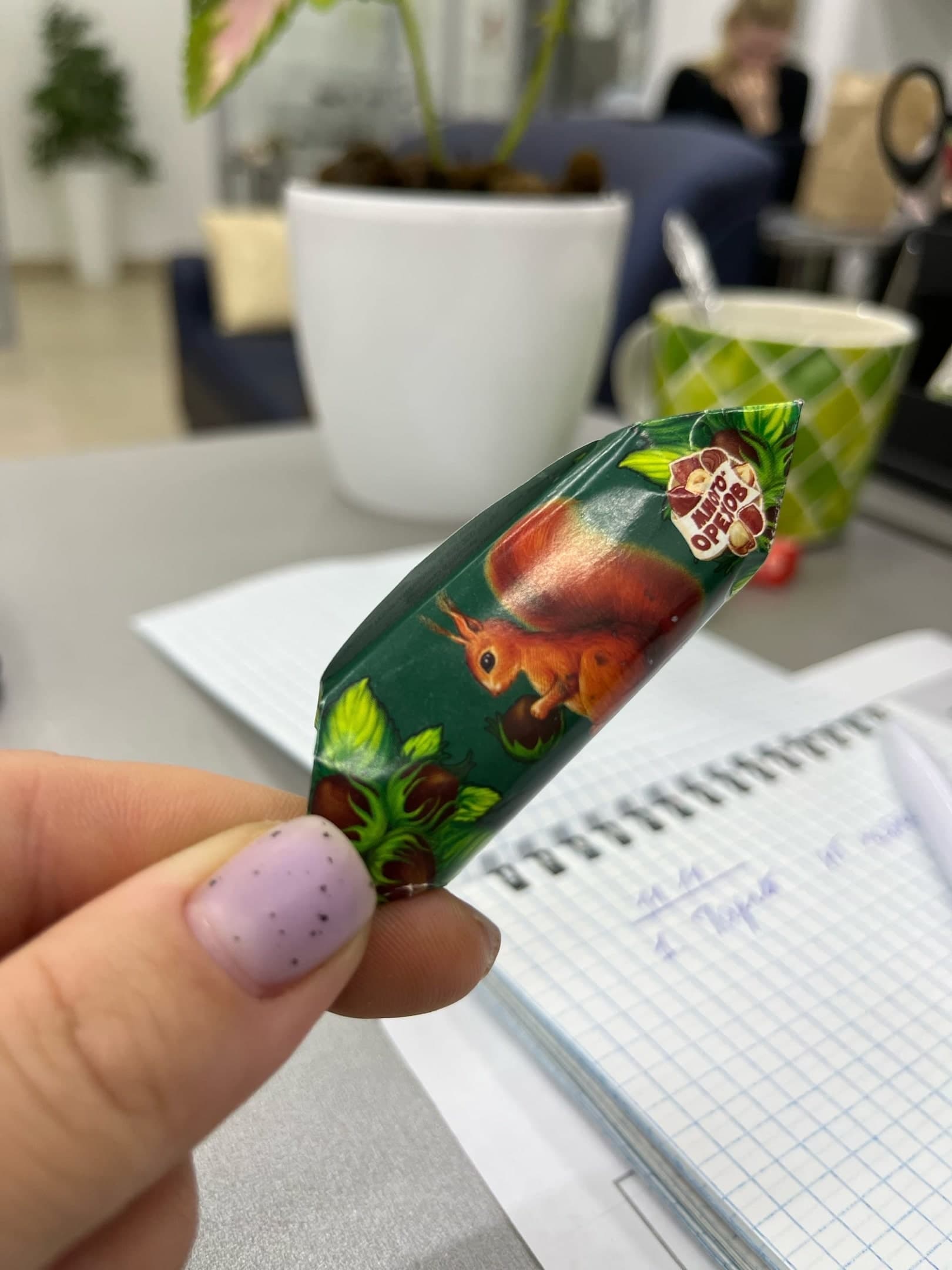 "Отрава в новогоднем подарке": в Роспотребнадзоре рассказали, покупки каких сладостей лучше избегать