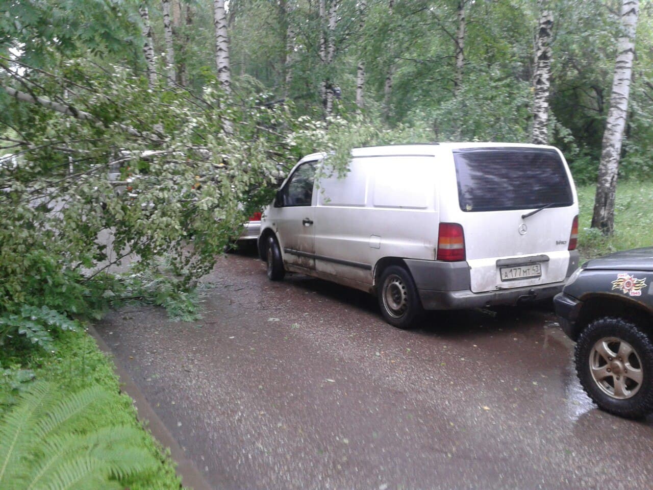 На Горбуновой дерево упало на машину
