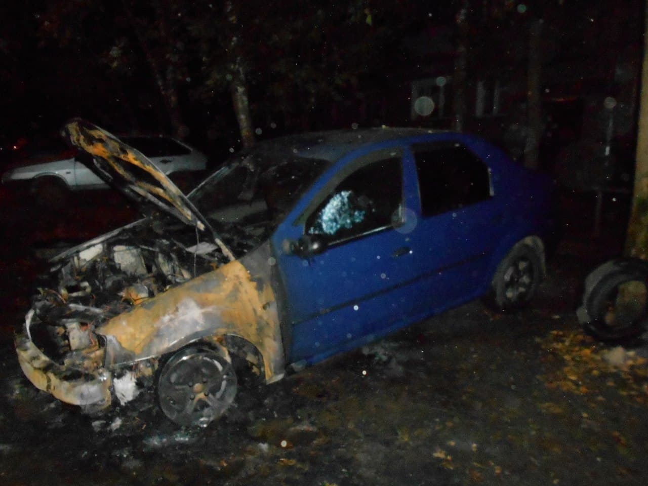 Renault на Циолковского не противостоял огню