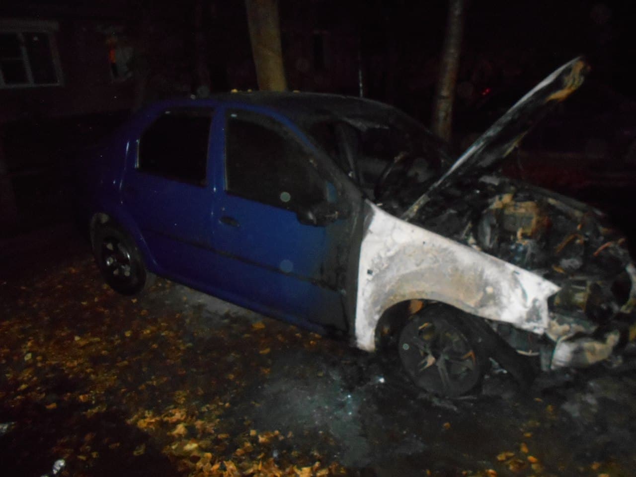 Renault на Циолковского не противостоял огню