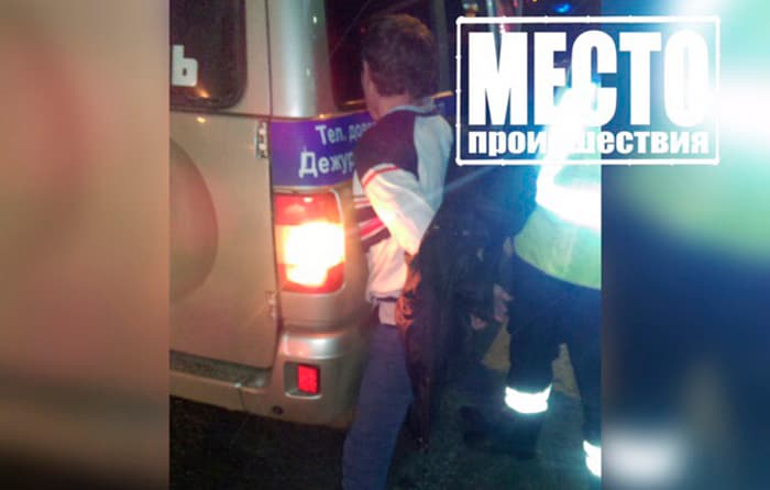 Фотогалерея