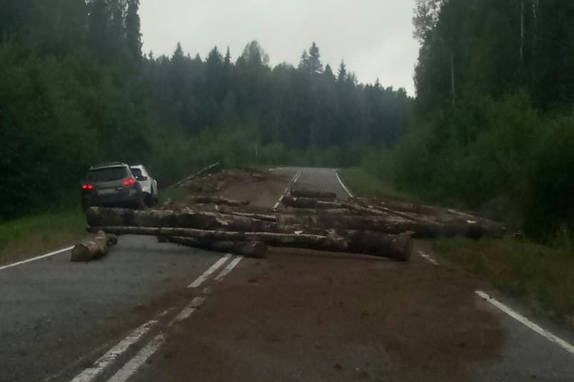 Лесовоз разбросал брёвна по дороге