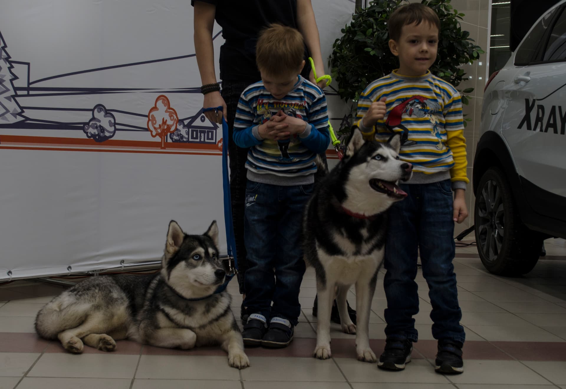 Горожанин, уверенный путешественник и просто верный друг: презентация новой LADA XRAY CROSS