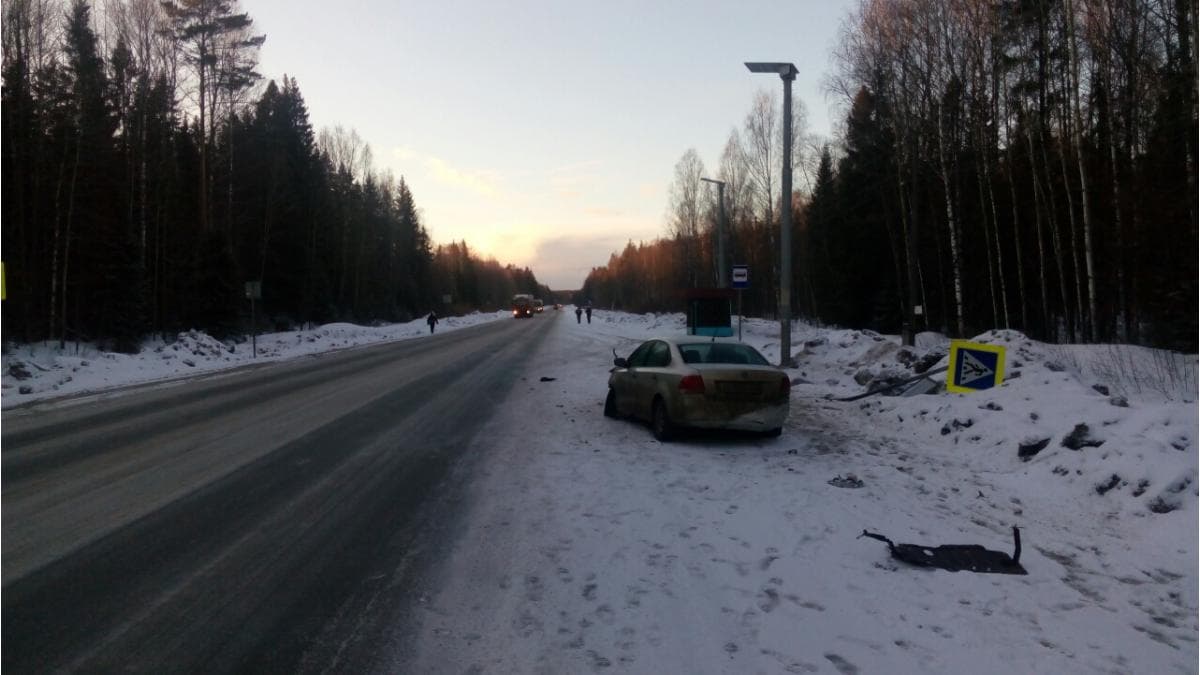 Пенсионерка на машине снесла столб и поколечила мужа
