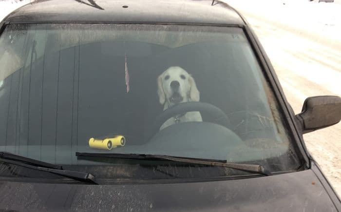 «Мой первый автомобиль»: трогательные истории автомобилистов про их первую машину 