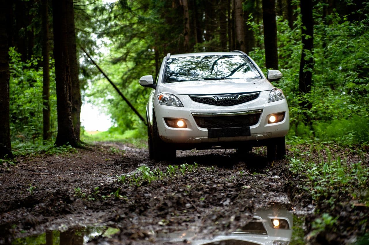 Фотогалерея