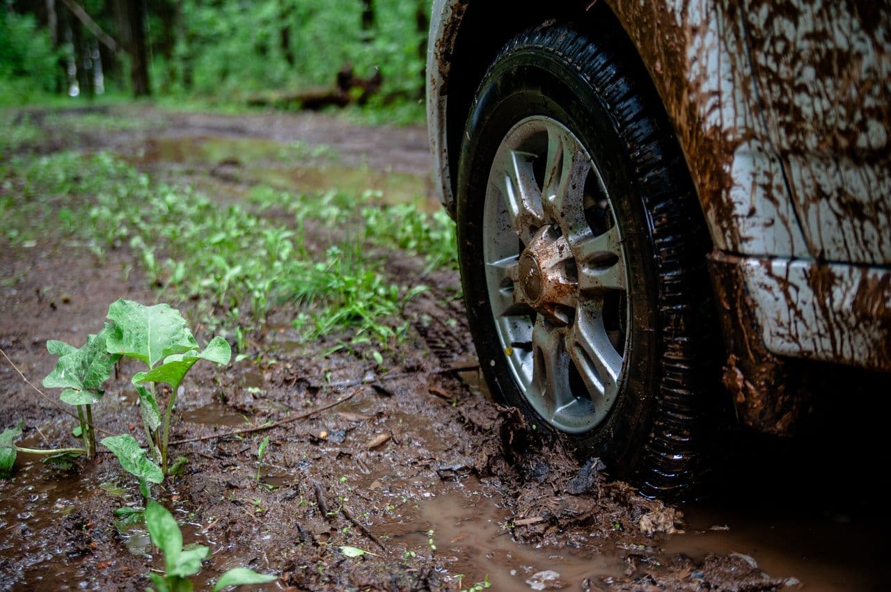 Фотогалерея