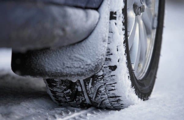 Пора переобуваться? Метеорологи-любители предсказывают заморозки