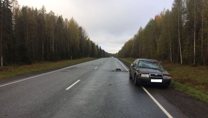 В Омутнинском районе Неизвестный отправил «Шкоду» в кювет