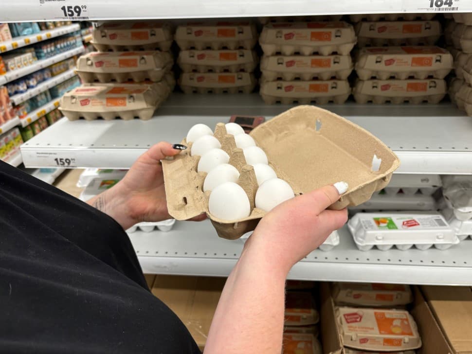 Стало известно, чем отличаются турецкие куриные яйца от российских