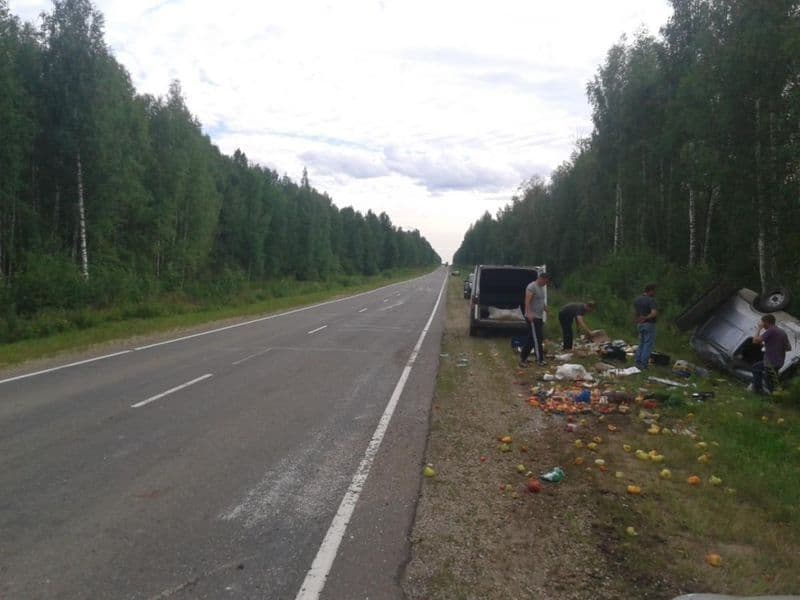 Из-за пробитого колеса машина оказалась в кювете