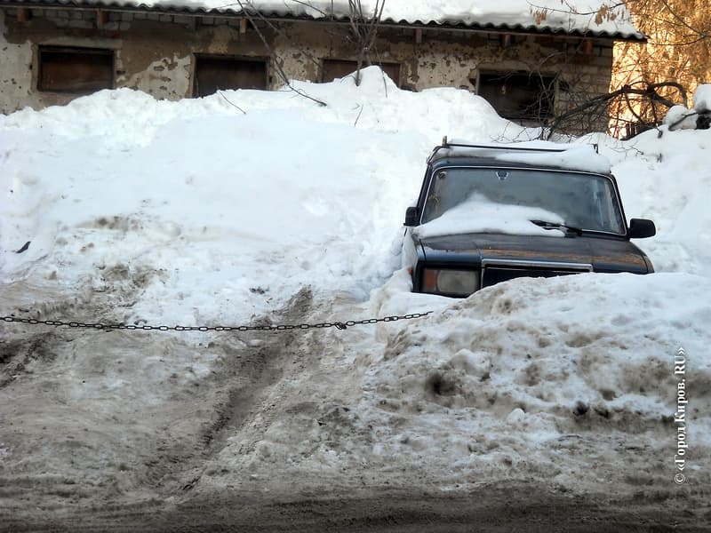 В кировских дворах появились «подснежники»