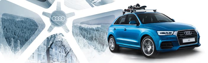 Зима без границ