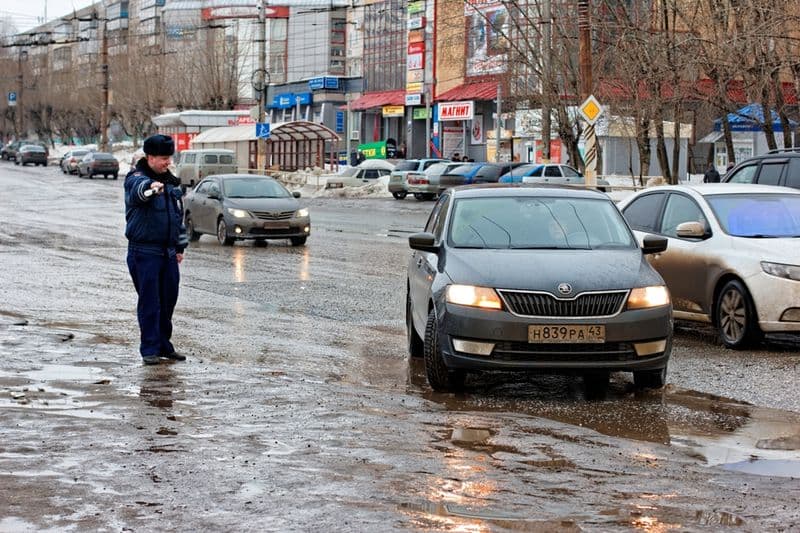 Цветочный патруль ŠKODA