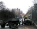 В городе подстригают деревья, чтобы избежать аварий