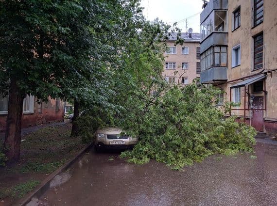 Шквалистый ветер в Кирове повалил деревья на автомобили