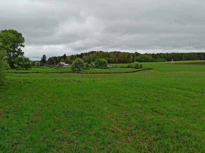 Кто и зачем ставит ловушки для кировских квадроциклистов в деревне Большое Мышкино?