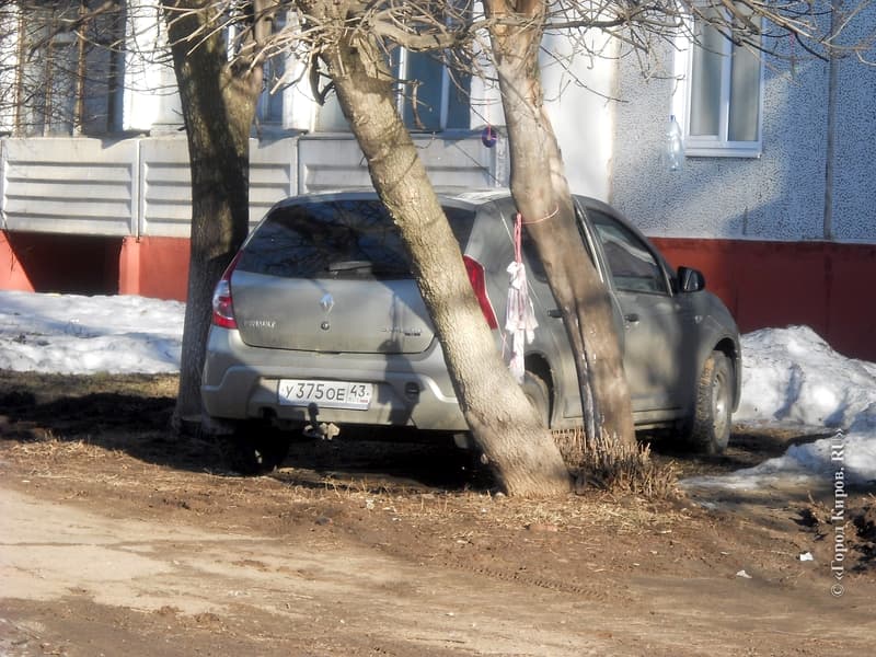 Фотогалерея
