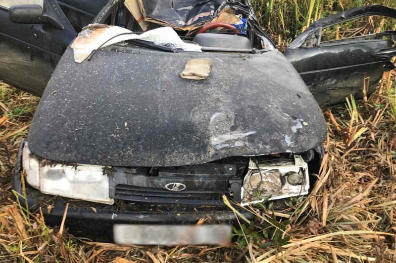 В Кировской области погиб водитель, столкнувшись с лосем