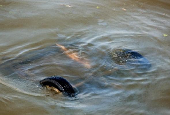 «Ока» опрокинулась в реку. Двое мужчин погибли