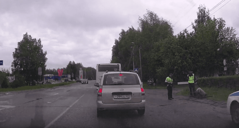 Кировские ИДПС «задержали» свинью