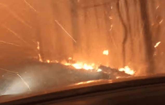 Опубликовано видео, где люди спасаются от лесного пожара на автомобиле