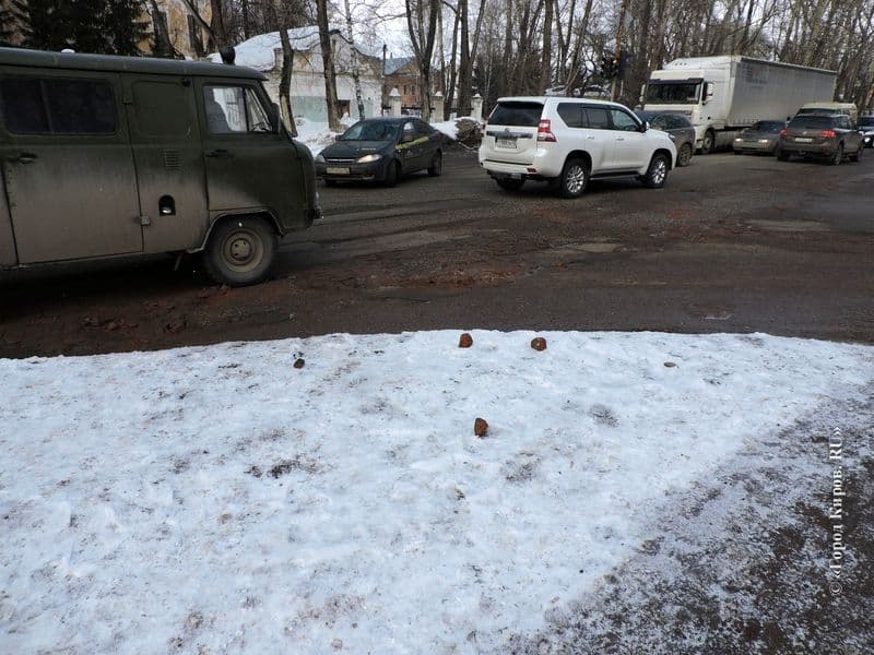 Фотогалерея