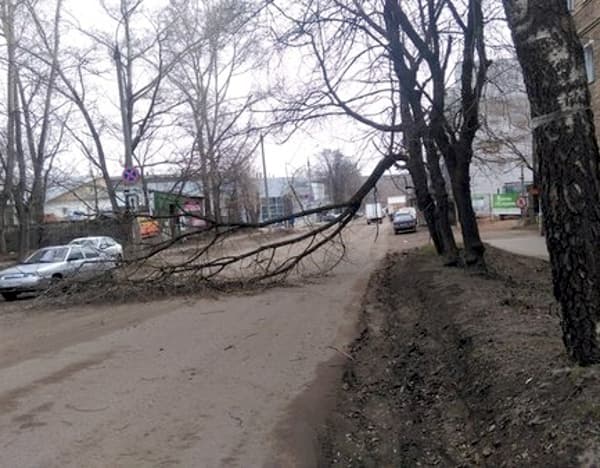 Фотогалерея