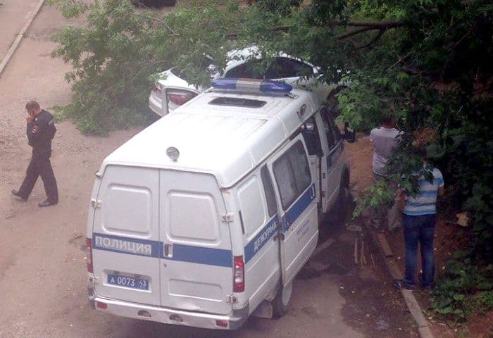 В Кирове дерево придавило Kia Rio