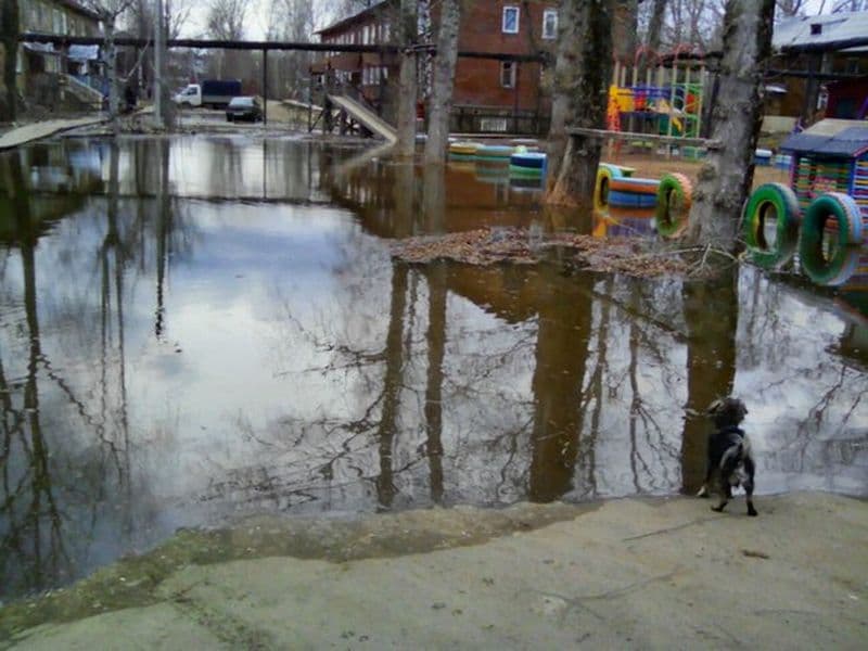 Фотогалерея