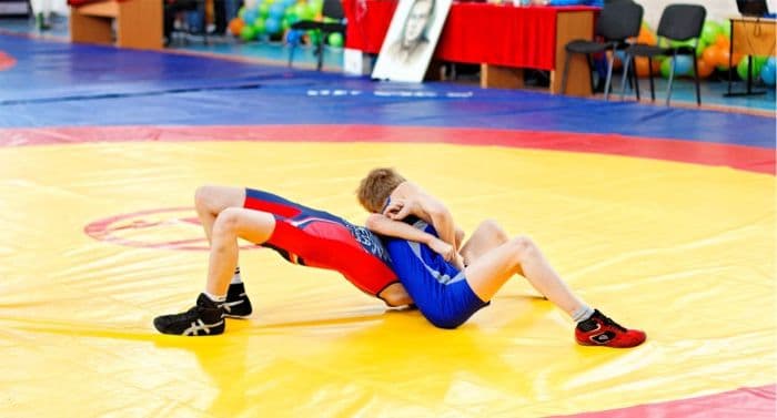 ТСК «Мотор» поддержала Всероссийский турнир по греко-римской борьбе