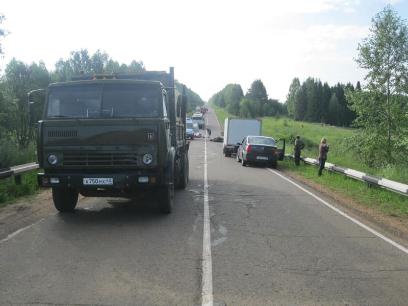 В Богородском районе КамАЗ сбил лошадь с наездником