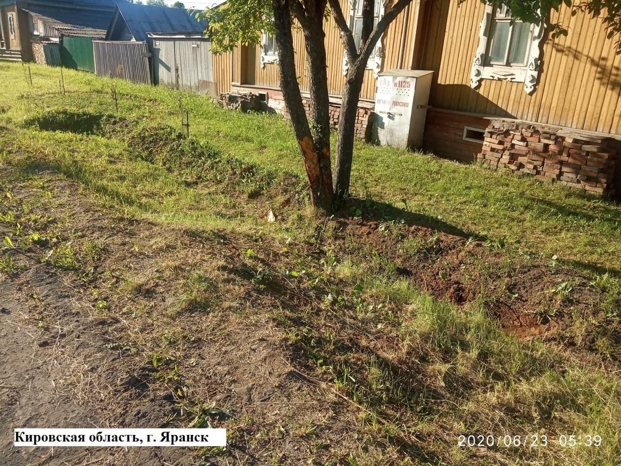 В Кировской области водитель ВАЗа врезался в дерево