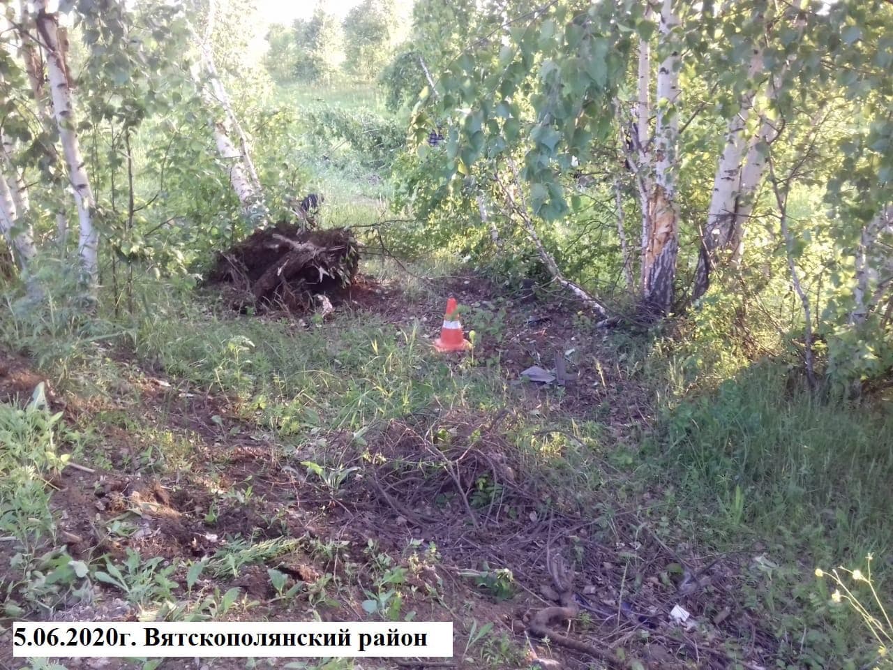 В Кировской области легковушка вылетела в кювет: водитель погиб