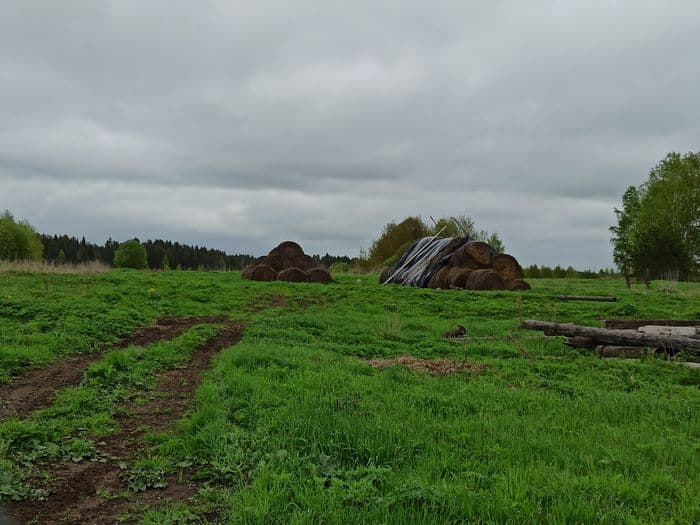 Кто и зачем ставит ловушки для кировских квадроциклистов в деревне Большое Мышкино?