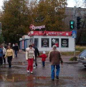 Обратный отсчет светофора: 13 или 40 секунд?