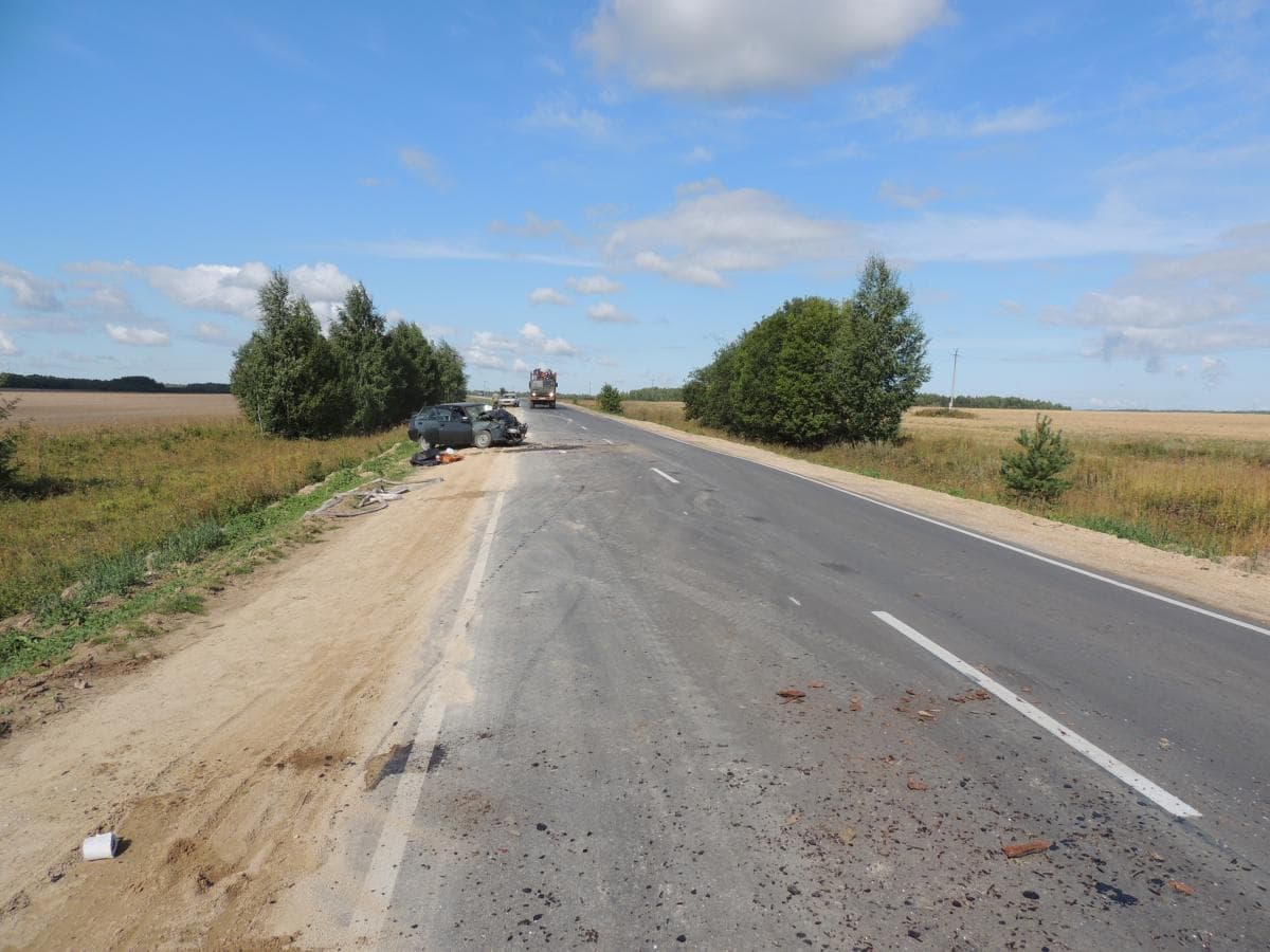 В лобовом ДТП в Лебяжском районе погибли 2 водителя 