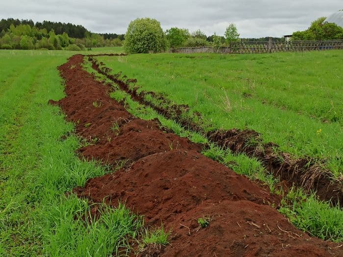 Кто и зачем ставит ловушки для кировских квадроциклистов в деревне Большое Мышкино?