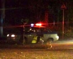 Водители не видят «зебру» и людей переходящих проезжую часть