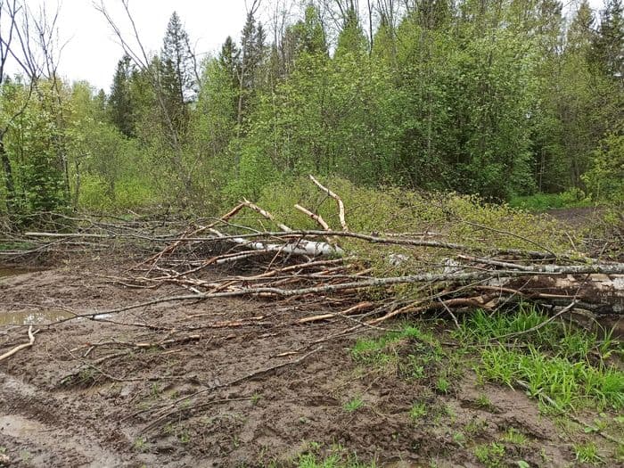 Кто и зачем ставит ловушки для кировских квадроциклистов в деревне Большое Мышкино?
