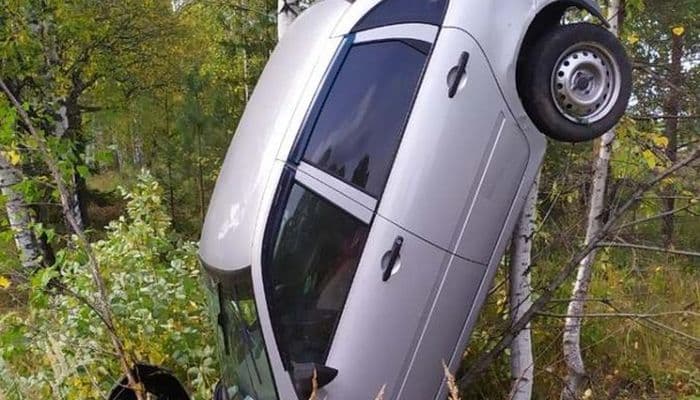 «Как на гнездышке»: в Яранском районе водитель на «Калине» влетел в дерево