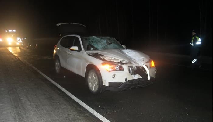 В Котельничском районе женщина на BMW насмерть сбила пешехода