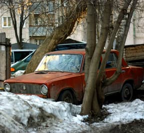 Весенние автоподснежники «расцвели» [фоторепортаж]