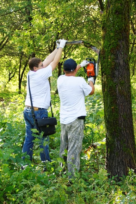 Большой субботник с ТСК Мотор